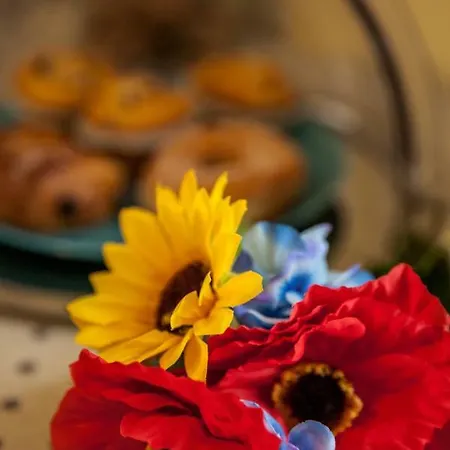 A Casa Di Elda Frühstückspension Tarquinia